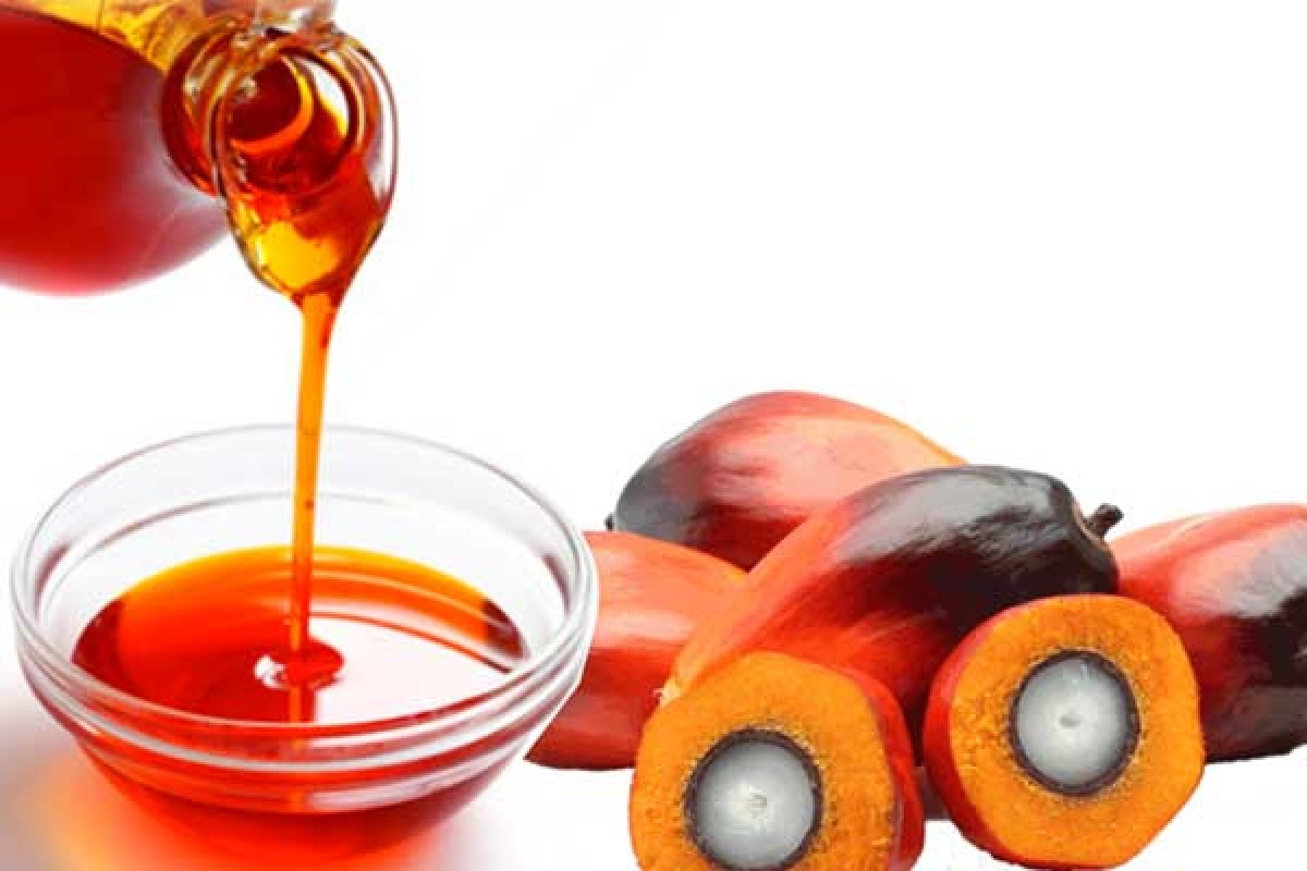 Crude Palm Oil (CPO) From INDONESIA from Indonesia